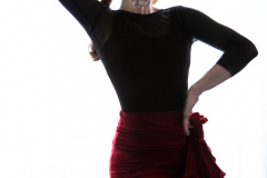 Madrid Flamenco Dancer
